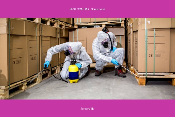 PEST CONTROL Somerville